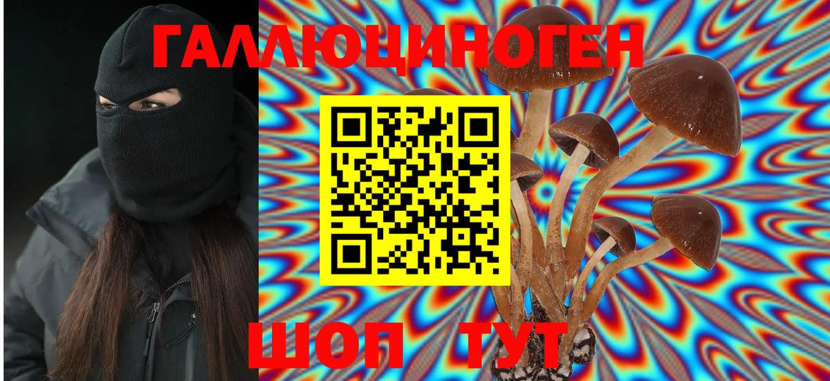 Полысаево  закладка  Вход с VPN  Галлюциногенные грибы GOLDEN TEACHER 